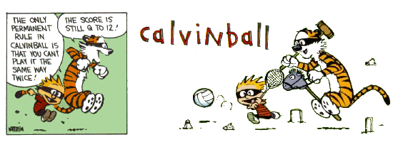 an insaner world • play Calvinball!!